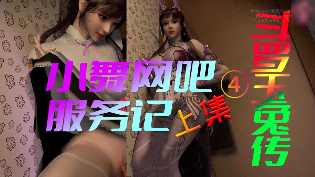 斗罗玉兔传4 小舞网吧服务记封面