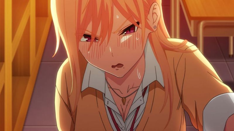 性欲波涛汹涌 THE ANIMATION封面