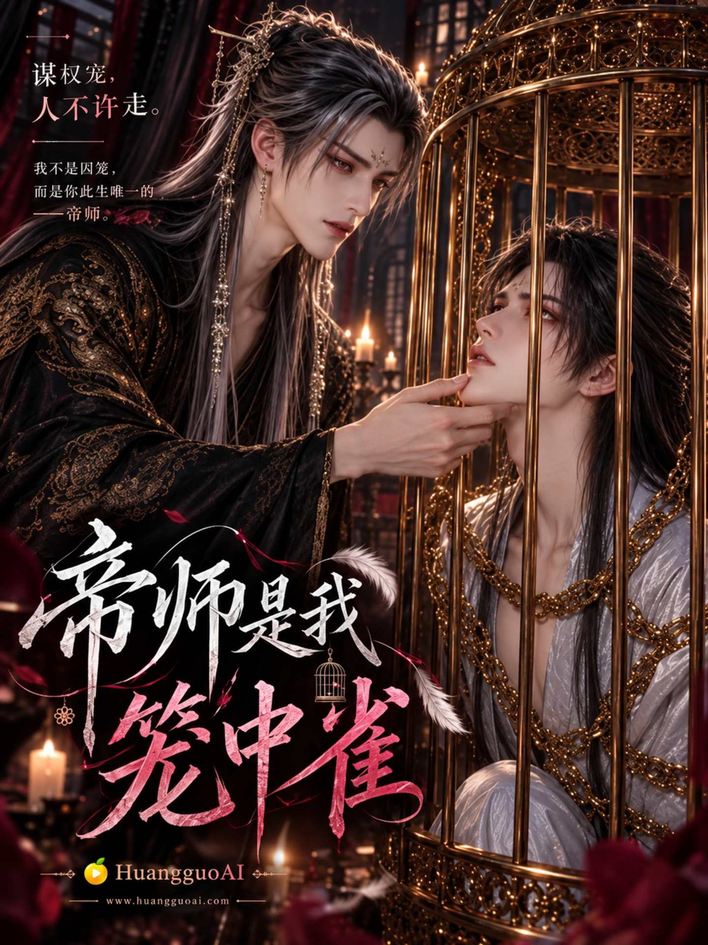 帝师是我笼中雀封面