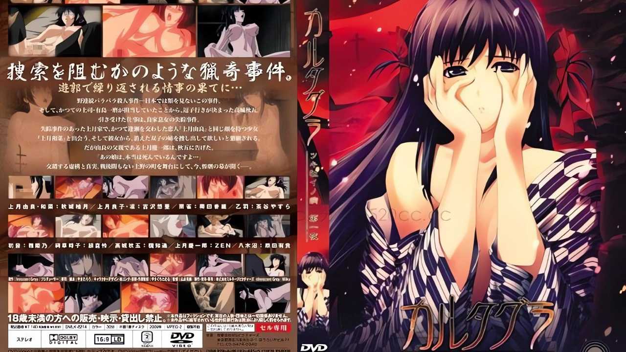 巨乳美女-巨乳盲女在黑暗中被插封面
